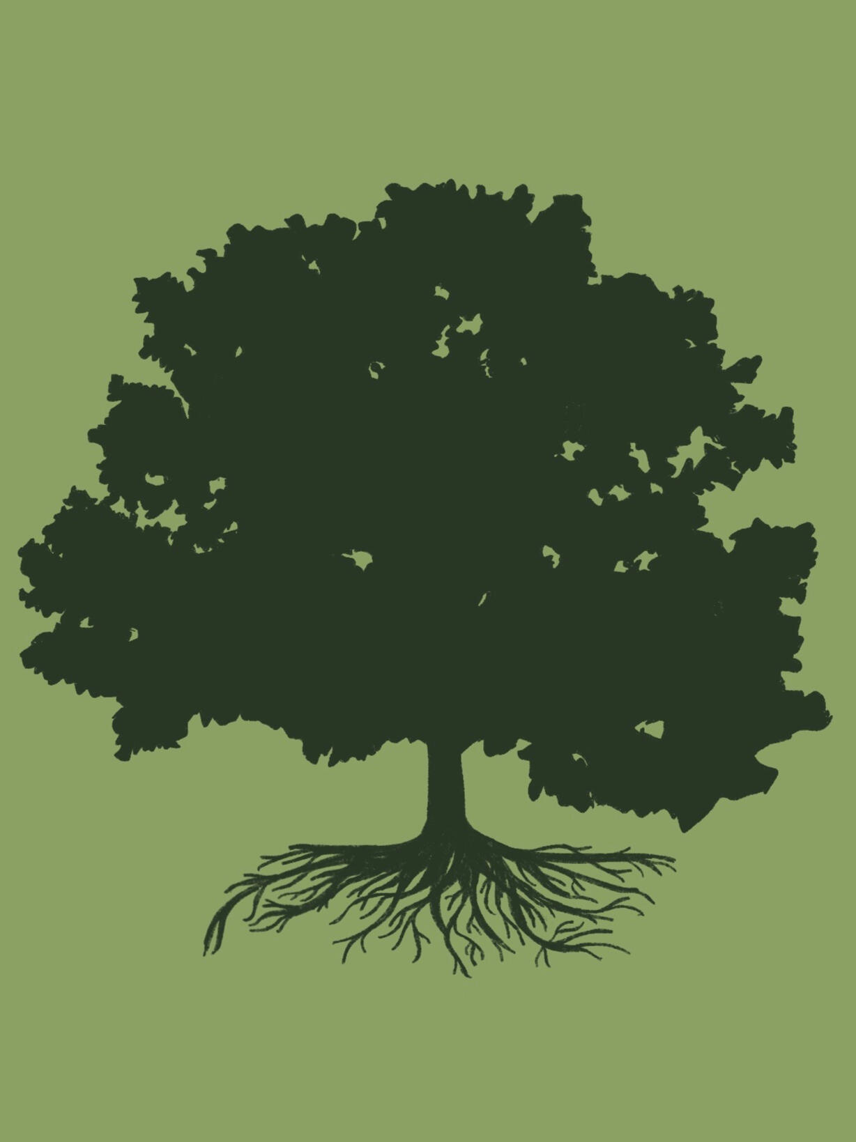 The Oaks Christian Academy logo showing a healthy large oak tree with lots of leaves, strong deep roots, and the words "The Oaks Christian Academy" at the bottom of the logo.