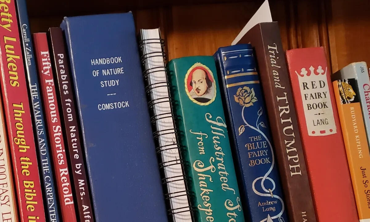 Books for Charlotte Mason curriculum sitting in a wooden book shelf.